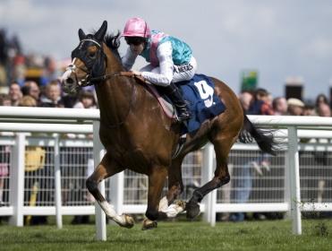Noble Mission is being backed to win at the Curragh